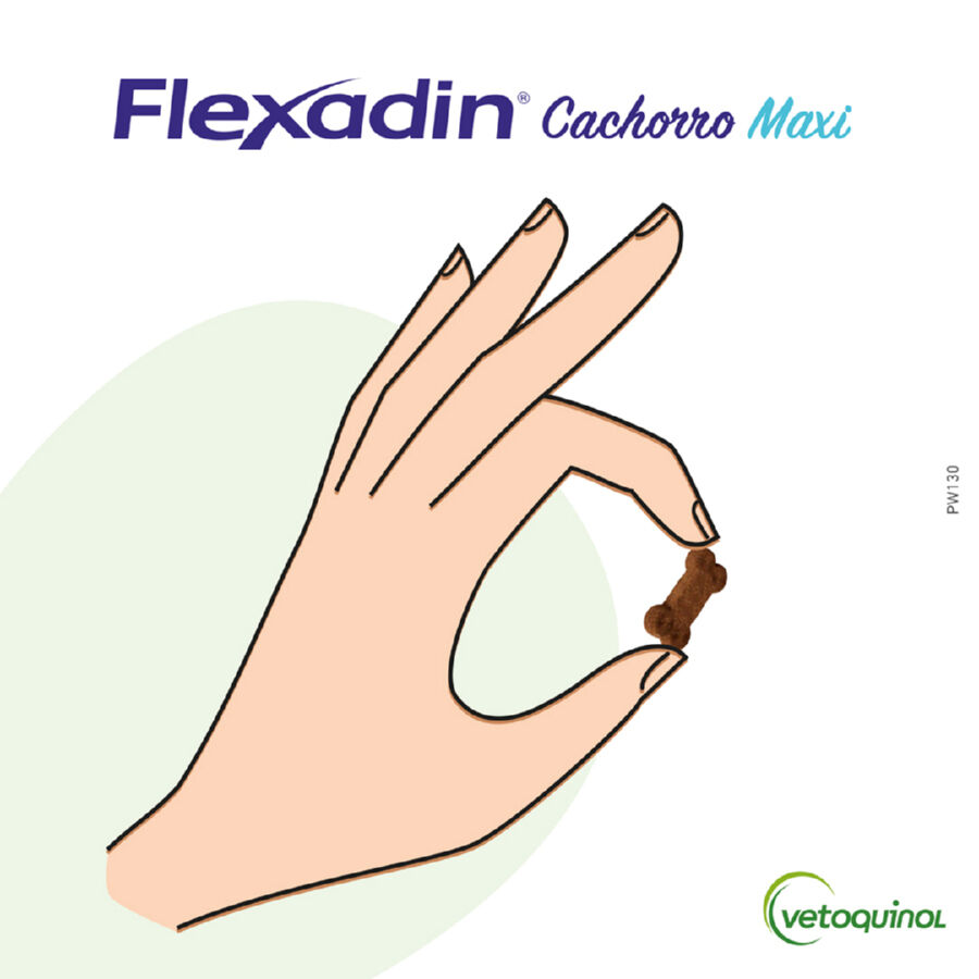 Vetoquinol Flexadin Young Maxi Condroprotector para cachorros, , large Imagen numero 2